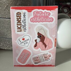 3/$15 Esthetician Themed Stickers Skincare Self-Care Sticker Page